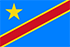 TGM Surveys for earning cash in DR Congo